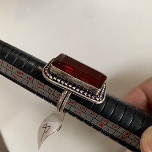 Garnet Hill Red and Silver Ring